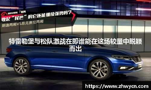 WE真人视讯官网