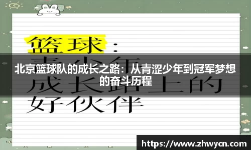 WE真人视讯官网