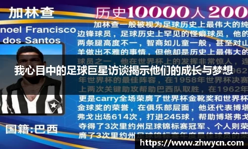 WE真人视讯平台